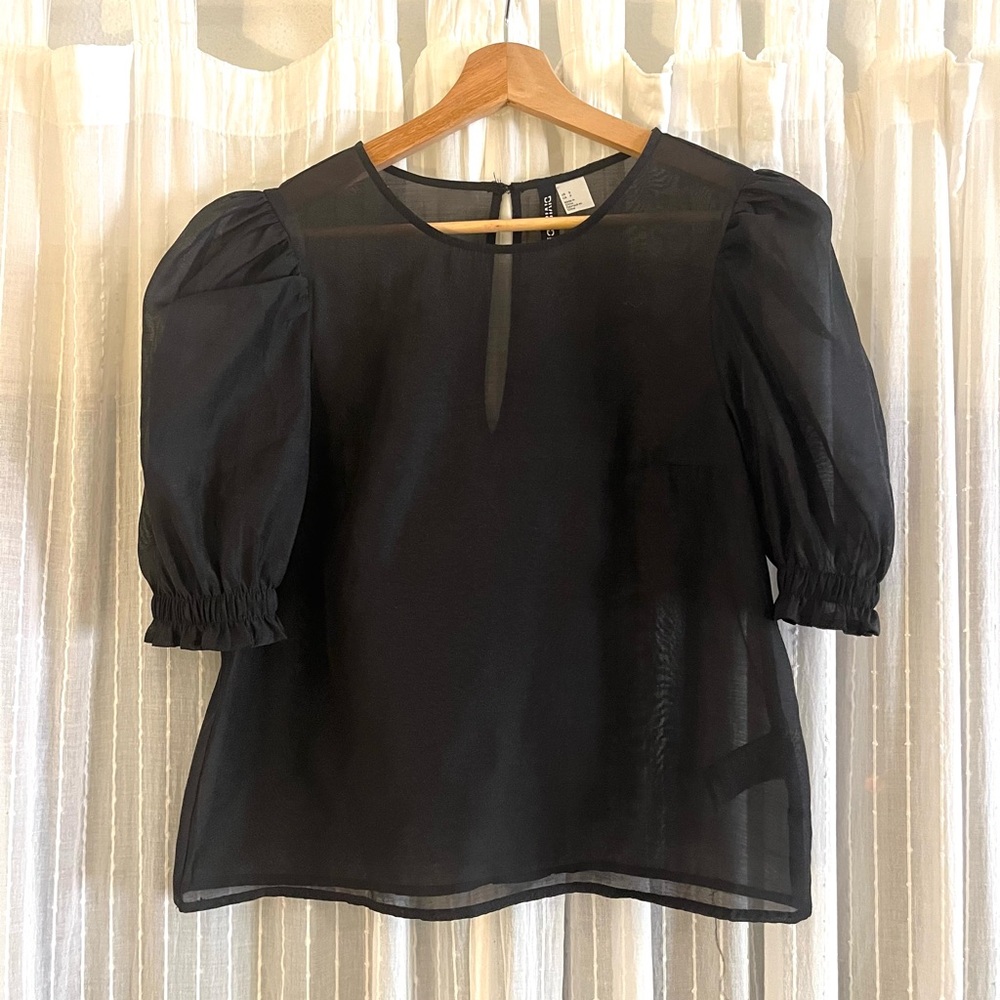 H&M Black Sheer Puff-Sleeve Blouse